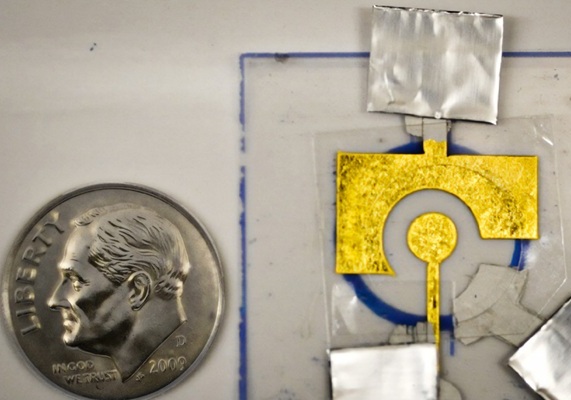 Image: The electrochemical sensors consist of DNA adhered to an inexpensive gold leaf electrode (Photo courtesy of MIT)