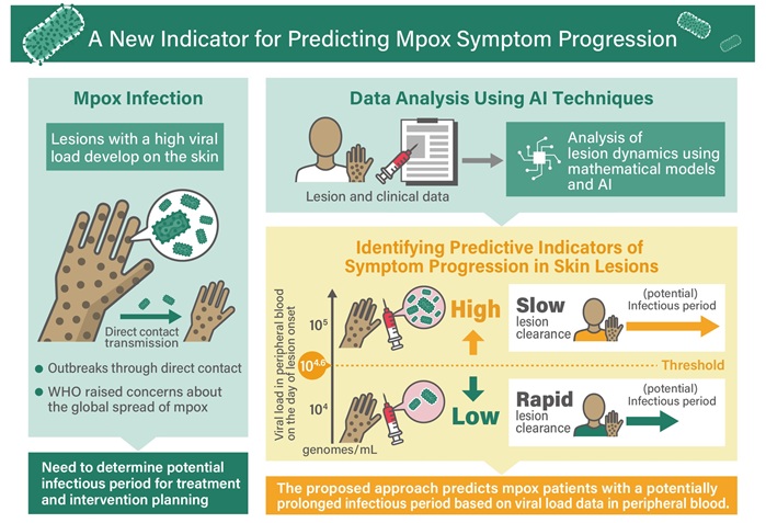 Image: Using viral load tests can help predict mpox severity when skin lesions first appear (Photo courtesy of Laiman Kana Ariga/Nagoya University)