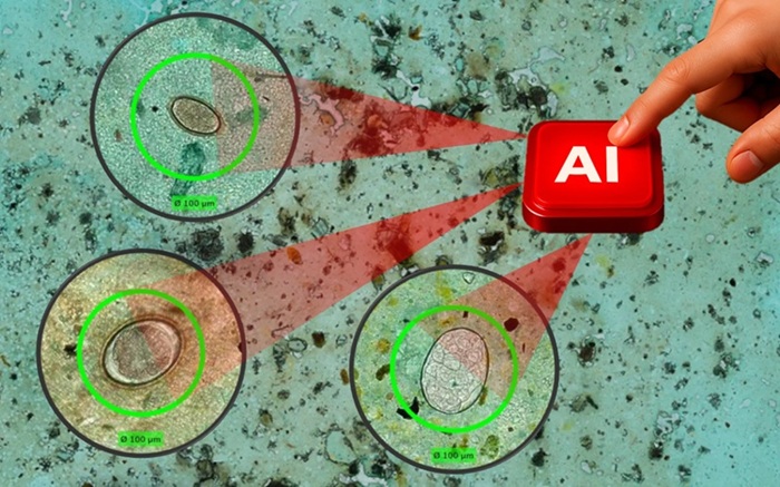 Image: AI microscopy can improve parasite detection within primary health care (Photo courtesy of Joar von Bahr)