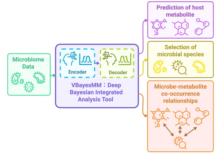 Image: A simplified breakdown of the inputs, process and outputs that make up the system. (©2025 Tsunoda et al. CC-BY-ND)