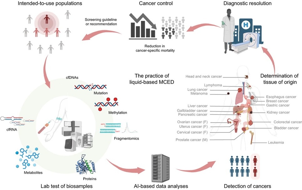 Image: MCED detects multiple cancers using liquid biopsy and AI, guiding diagnosis and reducing cancer mortality (Photo courtesy of Science China Press)