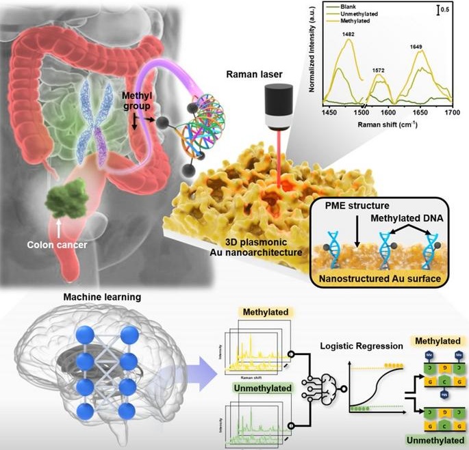 Image: Illustration of the high-sensitivity detection of trace amounts of cancer DNA in blood and its analysis using an AI-based method (Photo courtesy of KIMS)