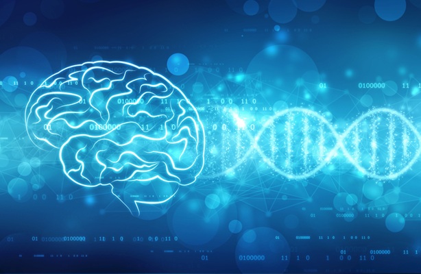 Image: Pathway-specific polygenic scores can predict individual responses to lithium treatment for bipolar disorder (Photo courtesy of Shutterstock)