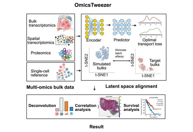 image: The new tool called OmicsTweezer uses advanced machine learning techniques to analyze large-scale biological data (Yang, et al., Cell Genomics, 2025; doi.org/10.1016/j.xgen.2025.100950)