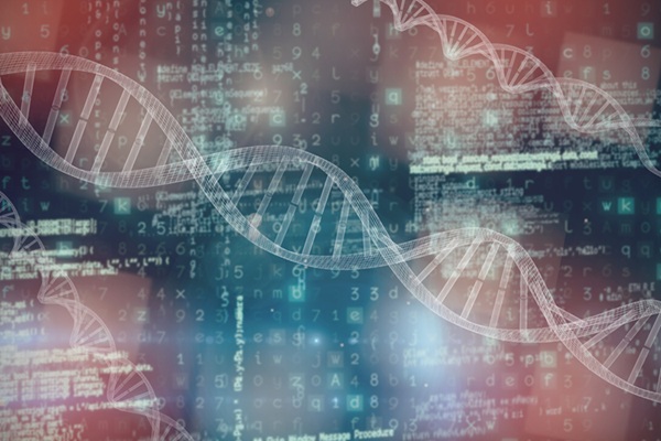 Image: New genetic analysis predicts risk of adult obesity from childhood (Photo courtesy of 123RF)