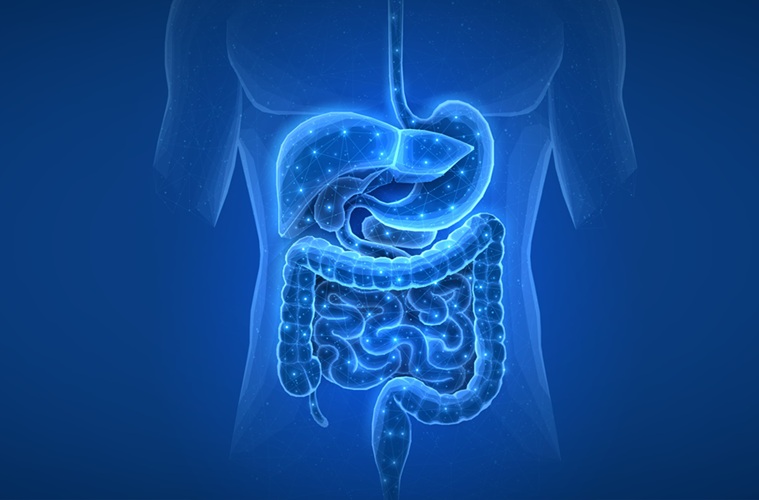 Image: Researchers have uncovered unique biological markers in patients with mild Crohn’s disease (Photo courtesy of Adobe Stock)