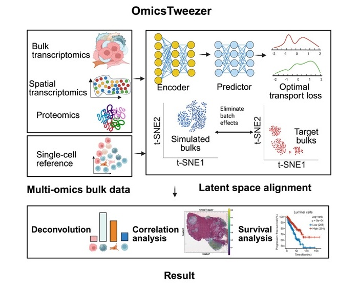 Image: The new tool called OmicsTweezer uses advanced machine learning techniques to analyze large-scale biological data (Yang, et al., Cell Genomics, 2025; doi.org/10.1016/j.xgen.2025.100950)