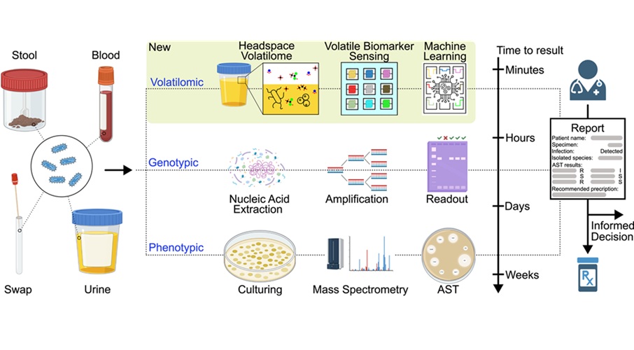 Image: Envisioned volatilomics and current genotypic and phenotypic workflows in medical microbiological pathogen and AMR diagnostics (Bilgin et al., Cell Biomaterials, 2025, DOI:10.1016/j.celbio.2025.100125)