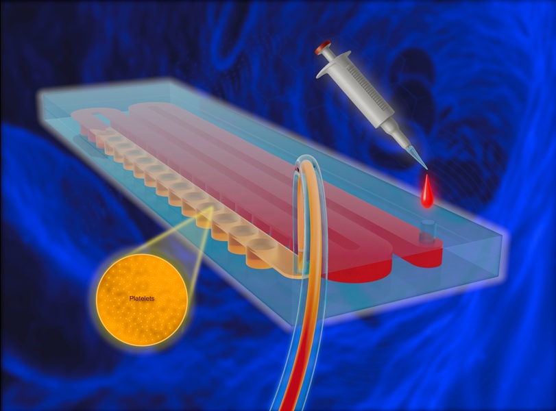 Image: The microfluidic device for passive separation of platelet-rich plasma from whole blood (Photo courtesy of University of the Basque Country)