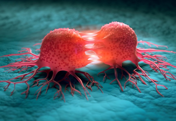 Image: Researchers have developed a novel method to analyze tumor growth rates (Photo courtesy of Adobe Stock)