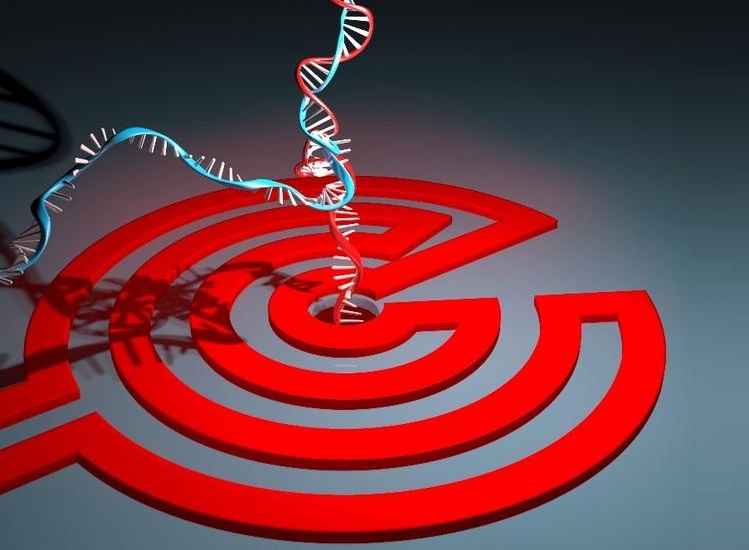 Image: Schematic model depicting single molecule DNA denaturation by Joule heat generated at the coil-shaped nanoheater around a nanopore (Photo courtesy of Makusu Tsutsui)