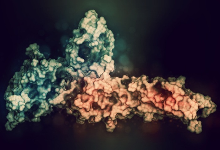 Image: PD-1 protein blockade is the standard treatment for advanced melanoma among the different types of immunotherapy (Photo courtesy of 123RF)