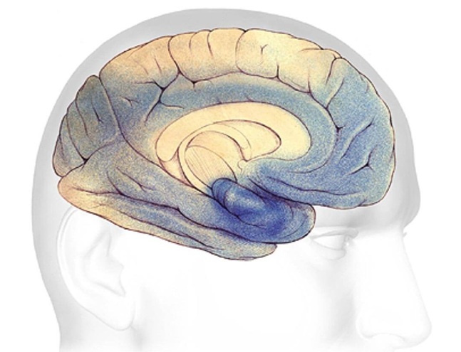 Image: Alzheimer’s Association has released its first clinical practice guideline for blood-based biomarker tests (Photo courtesy of Alzheimer’s Association)
