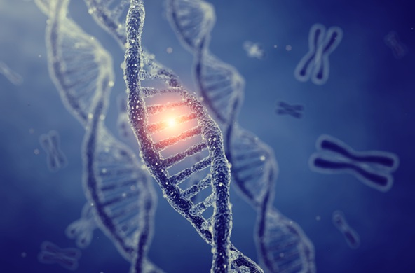 Image: The new tool illuminates elusive genomic patterns that may drive treatment resistance (Photo courtesy of Shutterstock)