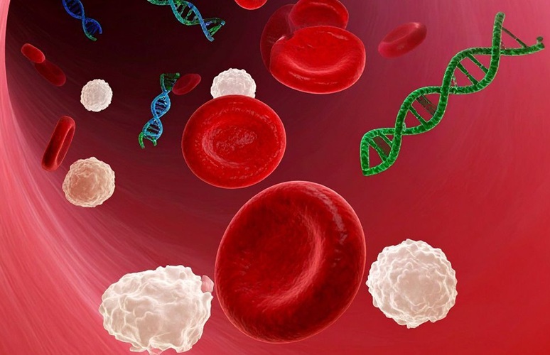 Image: Illustration of a cross-section of a blood vessel with red blood cells, white blood cells, and fragments of DNA (Photo Courtesy of UC San Diego/Adobe Firefly)