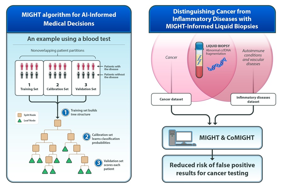 Image: MIGHT algorithm for AI-informed medical decisions and MIGHT-informed liquid biopsies for distinguishing cancer from inflammatory diseases (Photo courtesy of Elizabeth Cooke)