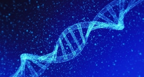 Image: A 3D illustration of a strand of DNA (Photo courtesy of 123RF)