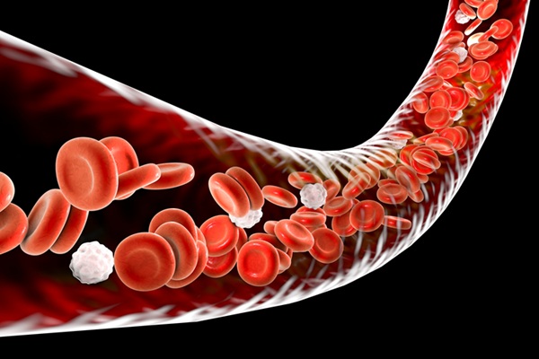 Image: New research points to protecting blood during radiation therapy (Photo courtesy of 123RF)