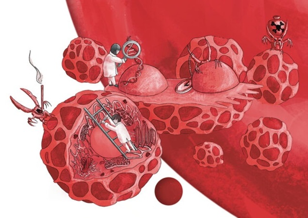 Image: Acquired mutations in blood stem cells interact with inherited mutations to influence the risk of developing blood cancer (Photo courtesy of WashU Medicine)