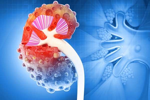 Image: The partnership aims to improve early detection and management of chronic kidney disease (Photo courtesy of Shutterstock)