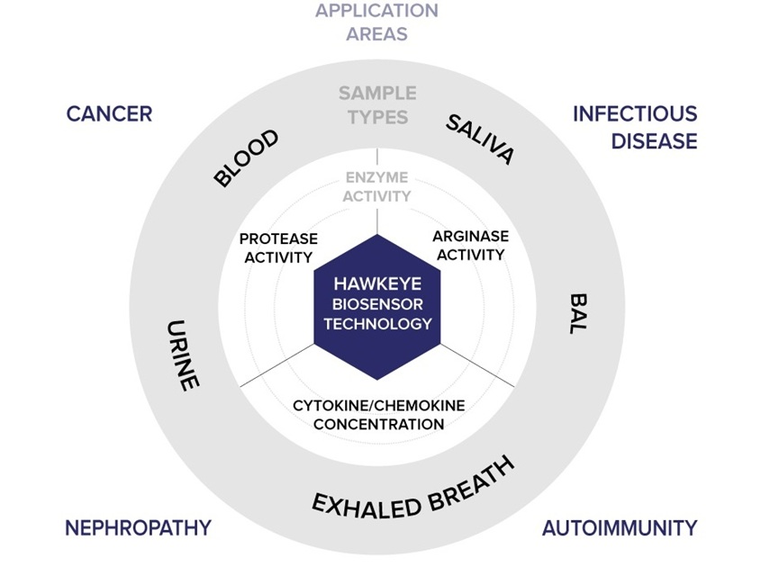 Image: The patented biosensor measures enzymatic activity associated with inflammatory disease (Photo courtesy of Hawkeye Bio)