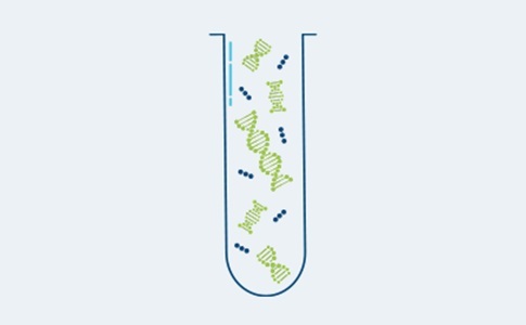 Image: Real-time monitoring ctDNA is a powerful tool to assess the absence or presence of MRD (Photo courtesy of Natera)