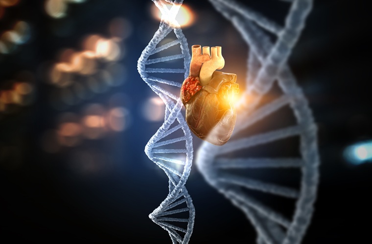 Image: Over 100 new epigenetic biomarkers may help predict cardiovascular disease risk (Photo courtesy of 123RF)