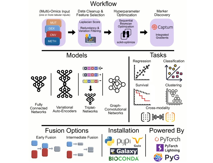 Image: Summary of the Flexynesis data integration and analysis workflow (B Uyar et al., Nature Communictions. DOI: 10.1038/s41467-025-63688-5)
