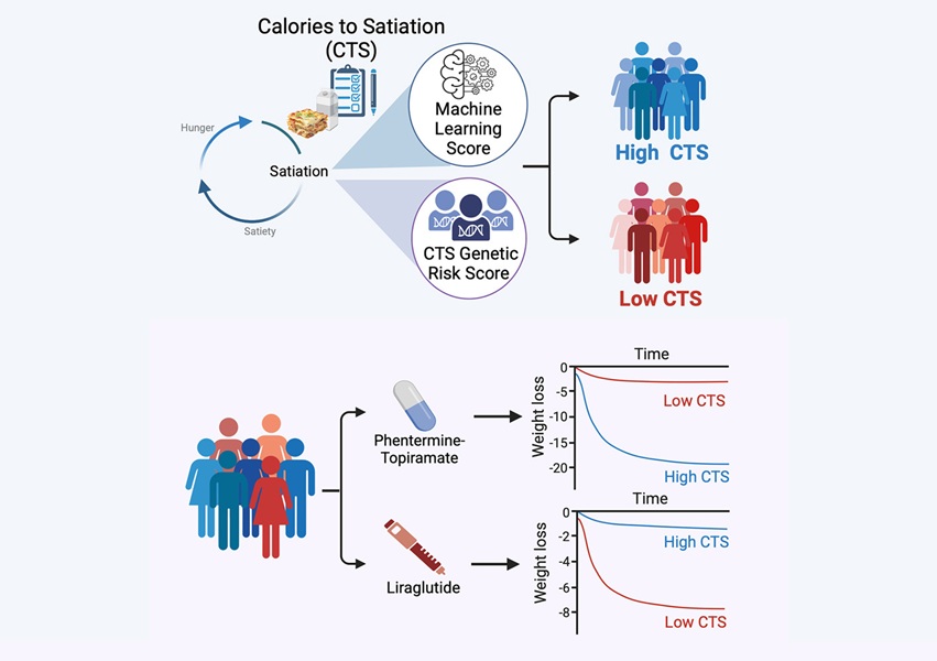 Image: The genetic test predicts response to weight-loss drugs (L Cifuentes et al., Cell Metab (2025). DOI: 10.1016/j.cmet.2025.00264-5)