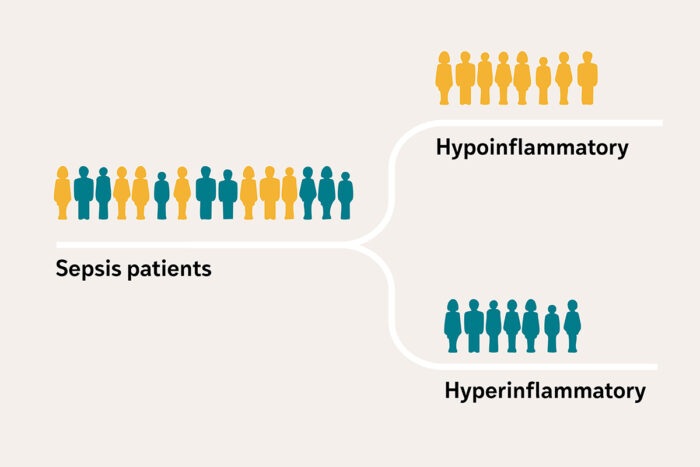 Image: A clinical test and handheld device could quickly classify sepsis patients into two groups (Photo courtesy of Sara Moser/WashU Medicine)