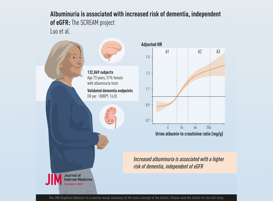 Image: Increased albuminuria has been found to be associated with a higher risk of all-cause dementia (L Luo et al., J Intern Med (2025). doi.org/10.1111/joim.70022)