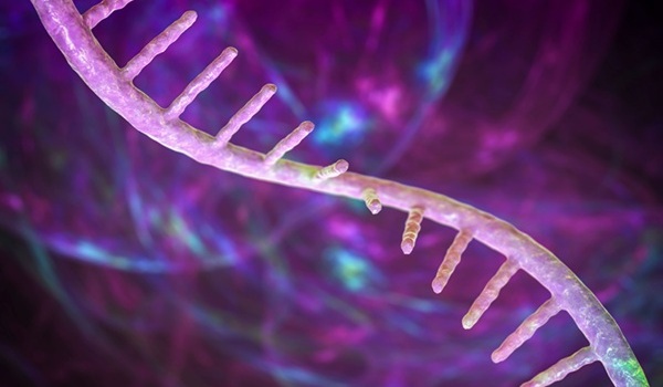 Image: The novel approach could improve early cancer detection (Photo courtesy of AdobeStock)