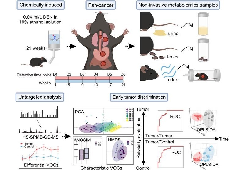 Image: Schematic diagram of esophageal cancer cell identification research process (Photo courtesy of GE Dianlong)