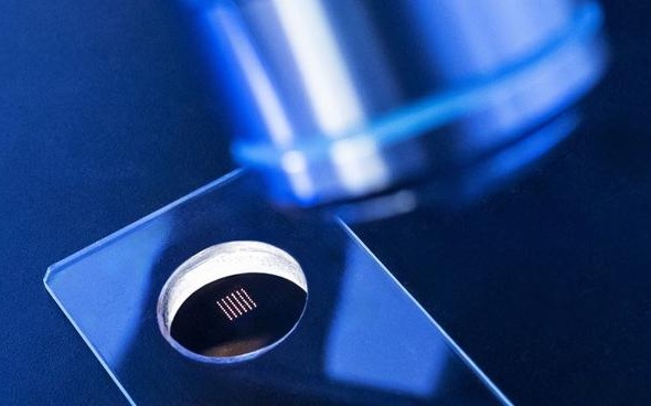 Image: The technology could be used for the early diagnosis of diseases such as cancers and Alzheimer\'s (Photo courtesy of PolyU)