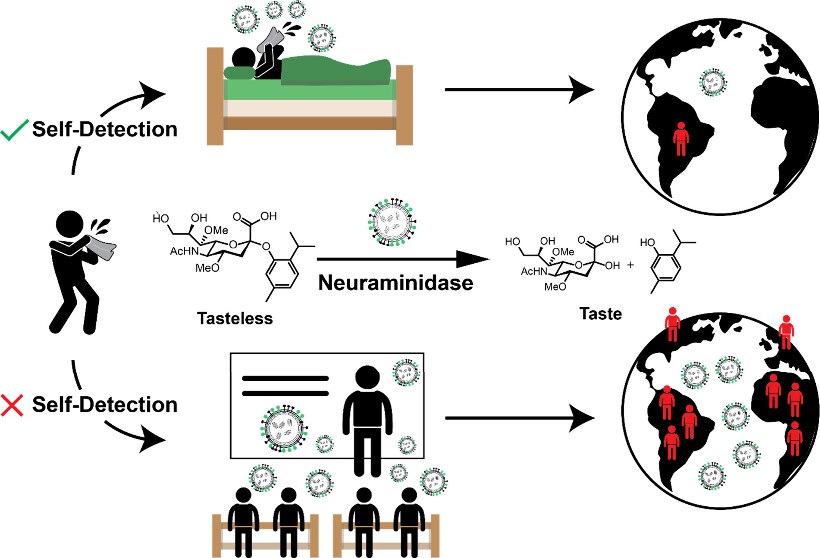 Image: The technology enables infected individuals to detect an infection within minutes, without requiring a laboratory, electricity, or medical personnel (Raschig, M. et al., ACS Central Science (2025). DOI: 10.1021/acscentsci.5c01179)