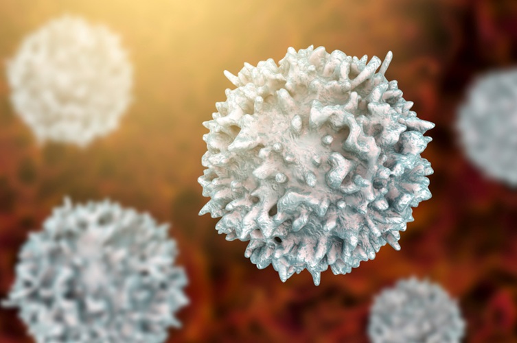 Image: The tool enables scientists to track real-time fluctuations in T cell function with unprecedented speed and precision (Photo courtesy of Shutterstock)