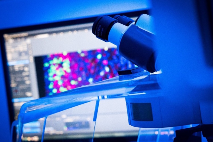 Image: The new tool could have direct implications for patient diagnoses and care worldwide (Photo courtesy of Texas Children\'s Hospital)