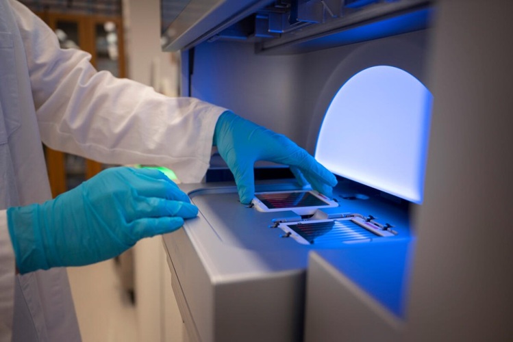 Image: The CloneSeq-SV approach can allow researchers to study how cells within high-grade serous ovarian cancer change over time (Photo courtesy of MSK)