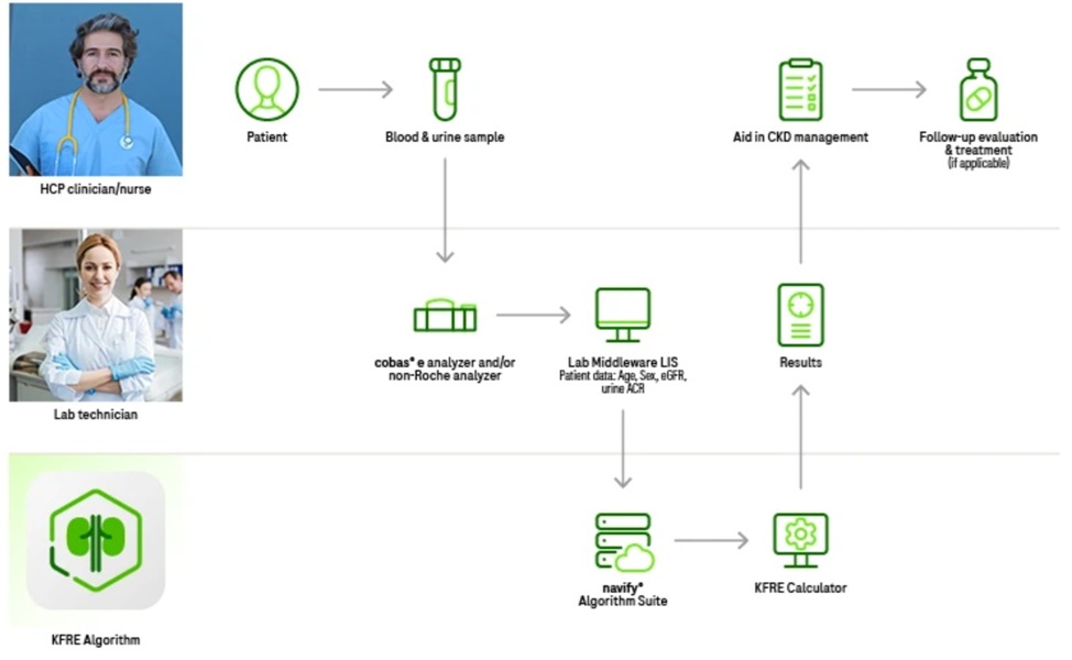 Image: The Kidney Klinrisk Algorithm is the first CE-marked AI-based risk stratification tool for assessing progressive kidney function decline (Photo courtesy of Roche)
