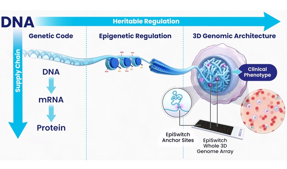 Image: Advanced EpiSwitch 3D genomics technology could become a vital clinical tool for diagnosing ME/CFS (Photo courtesy of Oxford BioDynamics)