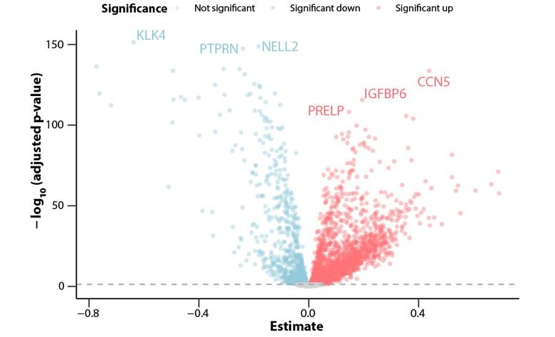 Image: The volcano plot highlights the impact of age on the plasma proteome; each dot represents a protein, with red indicating increases and blue indicating decreases from childhood to adulthood (Photo courtesy of María Bueno Álvez)