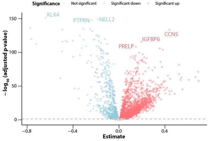 Image: The volcano plot highlights the impact of age on the plasma proteome (Photo courtesy of María Bueno Álvez)