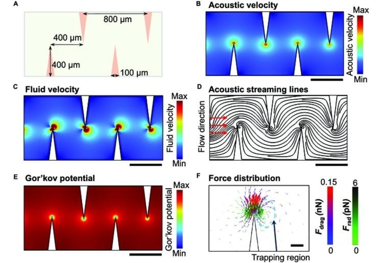Image: The acoustofluidic device is designed for sample preparation and detection of small extracellular vesicles (Photo courtesy of Tony Jun Huang/Duke University)