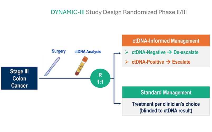 Image: ctDNA-guided approach to adjuvant chemotherapy in stage 3 colon cancer (Photo courtesy of Modified from Jeanne Tie, M.D.) Image: ctDNA-guided approach to adjuvant chemotherapy in stage 3 colon cancer (Photo courtesy of Modified from Jeanne Tie, M.D.)