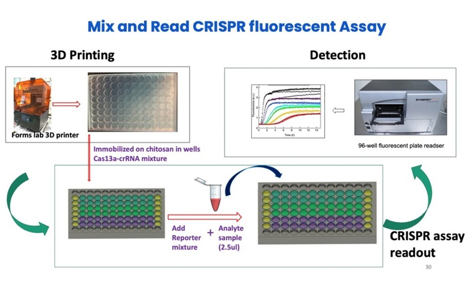Image: Researchers have developed two rapid blood tests for early Alzheimer’s detection (Photo courtesy of UConn)