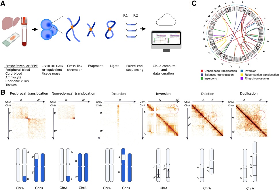 Image: Structural variants detected by GPM (He Fang et al., The Journal of Molecular Diagnostics (2025); DOI: 10.1016/j.jmoldx.2025.07.005)