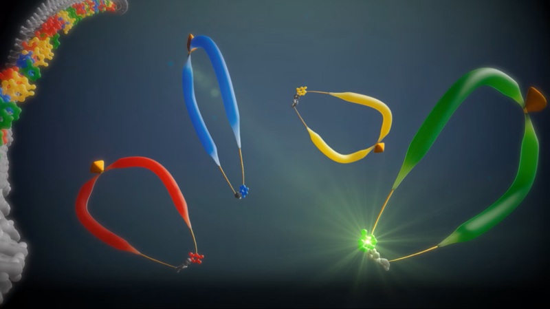 Image: Freenome will evaluate Roche\'s forthcoming SBX technology for future development applications (Photo courtesy of Roche)