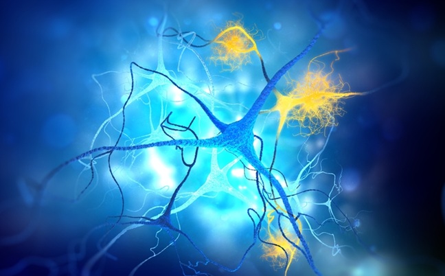 Image: The blood test offers a faster and less invasive tool for Alzheimer’s diagnosis (Photo courtesy of Shutterstock)