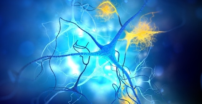Image: The blood test offers a faster and less invasive tool for Alzheimer’s diagnosis (Photo courtesy of  Shutterstock)