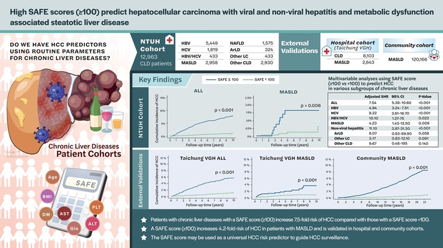 Image: The SAFE score successfully stratifies patients at risk of developing HCC (Tung-Hung Su et al.,Clinical and Molecular Hepatology (2025); doi.org/10.3350/cmh.2024.0822)